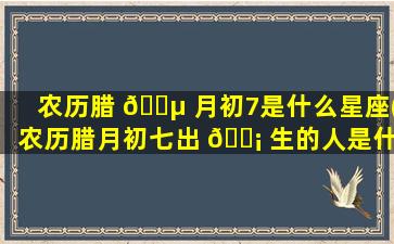 农历腊 🐵 月初7是什么星座(农历腊月初七出 🐡 生的人是什么星座)